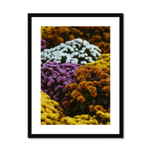 Încarcă imaginea în vizualizatorul Galerie, Framed & Mounted Print