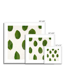 Încarcă imaginea în vizualizatorul Galerie, Framed & Mounted Print