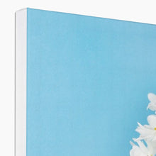 Carica l'immagine nel visualizzatore di Gallery, Canvas