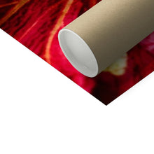 Încarcă imaginea în vizualizatorul Galerie, Photo Art Print