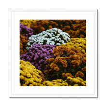 Încarcă imaginea în vizualizatorul Galerie, Framed & Mounted Print