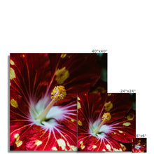 Încarcă imaginea în vizualizatorul Galerie, Fine Art Print