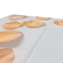 Carica l'immagine nel visualizzatore di Gallery, Canvas