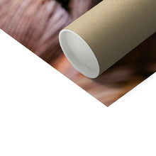 Încarcă imaginea în vizualizatorul Galerie, Photo Art Print