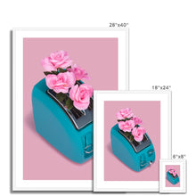 Încarcă imaginea în vizualizatorul Galerie, Framed & Mounted Print