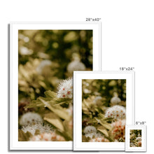 Încarcă imaginea în vizualizatorul Galerie, Framed & Mounted Print