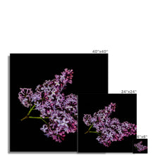 Încarcă imaginea în vizualizatorul Galerie, Fine Art Print