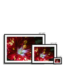 Încarcă imaginea în vizualizatorul Galerie, Framed & Mounted Print