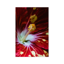 Încarcă imaginea în vizualizatorul Galerie, Fine Art Print