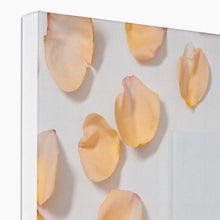 Carica l'immagine nel visualizzatore di Gallery, Canvas