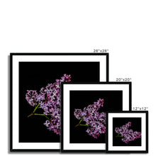 Încarcă imaginea în vizualizatorul Galerie, Framed & Mounted Print