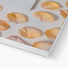 Carica l'immagine nel visualizzatore di Gallery, Canvas