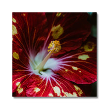 Carica l'immagine nel visualizzatore di Gallery, Canvas