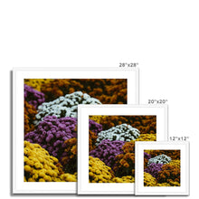 Încarcă imaginea în vizualizatorul Galerie, Framed & Mounted Print