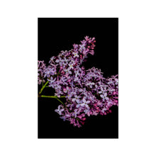 Încarcă imaginea în vizualizatorul Galerie, Photo Art Print