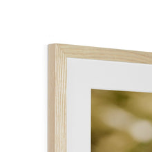 Încarcă imaginea în vizualizatorul Galerie, Framed & Mounted Print