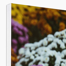 Load image into Gallery viewer, Canvas