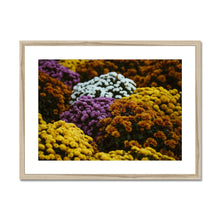 Încarcă imaginea în vizualizatorul Galerie, Framed & Mounted Print