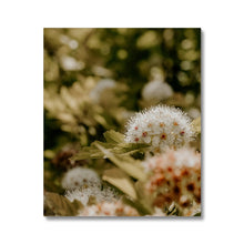 Load image into Gallery viewer, Canvas