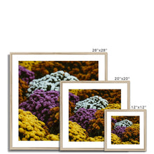 Încarcă imaginea în vizualizatorul Galerie, Framed & Mounted Print