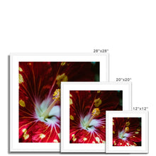 Încarcă imaginea în vizualizatorul Galerie, Framed & Mounted Print