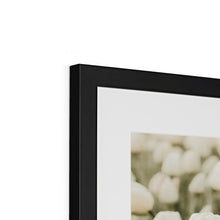 Încarcă imaginea în vizualizatorul Galerie, Framed & Mounted Print