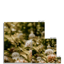 Încarcă imaginea în vizualizatorul Galerie, Photo Art Print