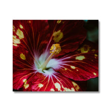 Carica l'immagine nel visualizzatore di Gallery, Canvas