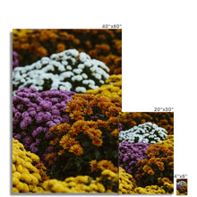 Încarcă imaginea în vizualizatorul Galerie, Fine Art Print