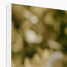 Load image into Gallery viewer, Canvas