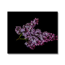 Carica l'immagine nel visualizzatore di Gallery, Canvas