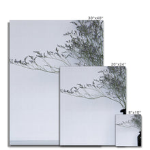 Carica l'immagine nel visualizzatore di Gallery, Canvas