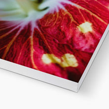 Carica l'immagine nel visualizzatore di Gallery, Canvas