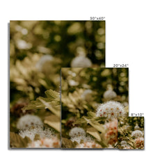 Load image into Gallery viewer, Canvas