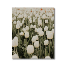 Load image into Gallery viewer, Canvas