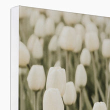 Load image into Gallery viewer, Canvas