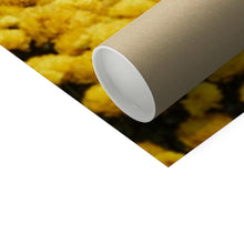 Încarcă imaginea în vizualizatorul Galerie, Photo Art Print