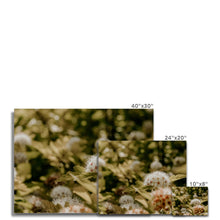 Load image into Gallery viewer, Canvas