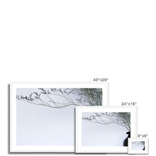 Încarcă imaginea în vizualizatorul Galerie, Framed & Mounted Print
