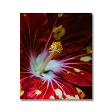 Carica l'immagine nel visualizzatore di Gallery, Canvas