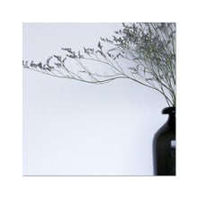 Încarcă imaginea în vizualizatorul Galerie, Fine Art Print