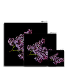 Carica l'immagine nel visualizzatore di Gallery, Canvas