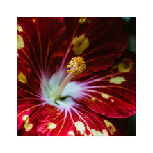 Încarcă imaginea în vizualizatorul Galerie, Photo Art Print