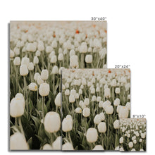 Load image into Gallery viewer, Canvas