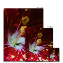 Carica l'immagine nel visualizzatore di Gallery, Canvas