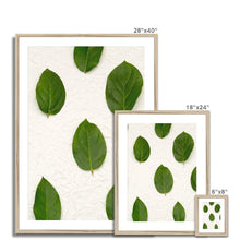 Încarcă imaginea în vizualizatorul Galerie, Framed & Mounted Print