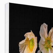 Încarcă imaginea în vizualizatorul Galerie, f Tablou Flori Din Umbră Canvas
