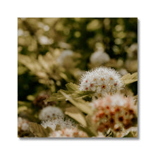 Load image into Gallery viewer, Canvas