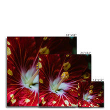 Carica l'immagine nel visualizzatore di Gallery, Canvas