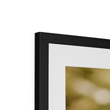 Încarcă imaginea în vizualizatorul Galerie, Framed & Mounted Print